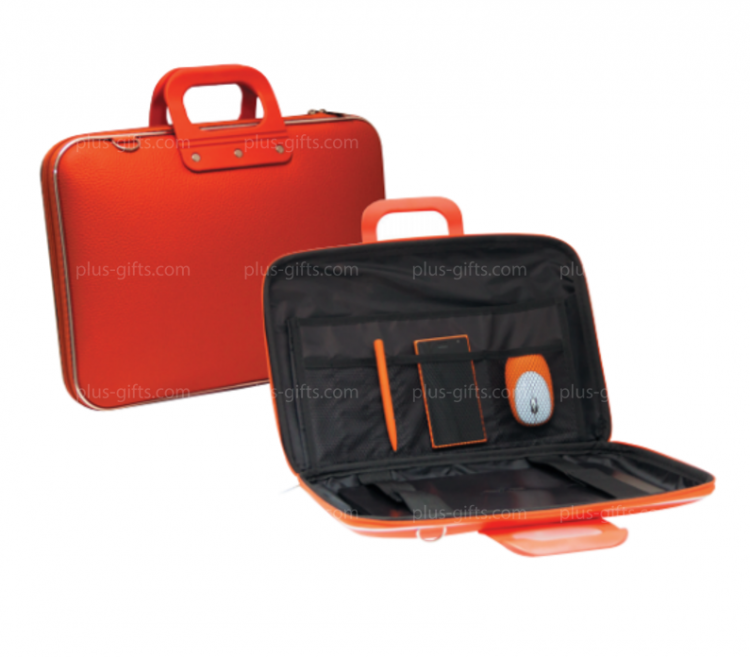 Briefcase for documents